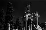 Cemetery Nice, Franc